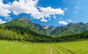 Scopri di più sull'articolo Uscita didattica al Parco Nazionale di Abruzzo